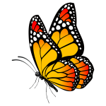 A monarch butterfly