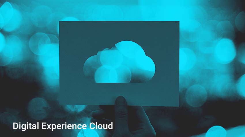 Cutout of a cloud shape with the words Digital Experience Cloud